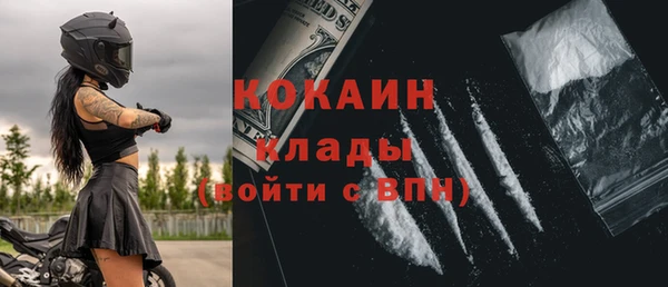 прущие грибы Бородино