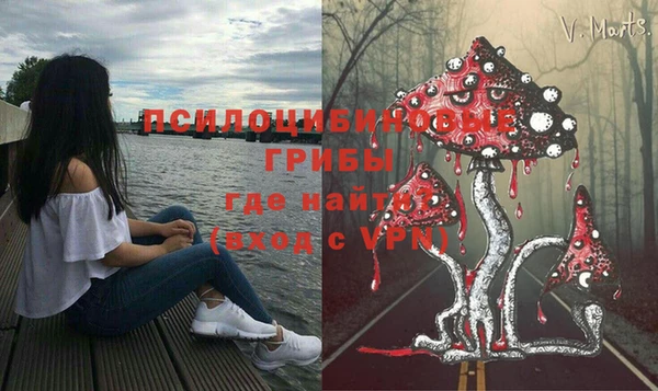сатива Бронницы