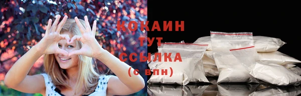 прущие грибы Бородино