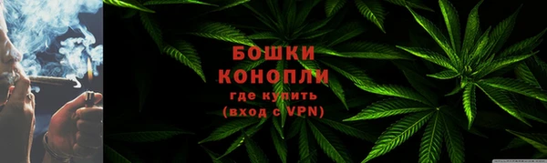 сатива Бронницы