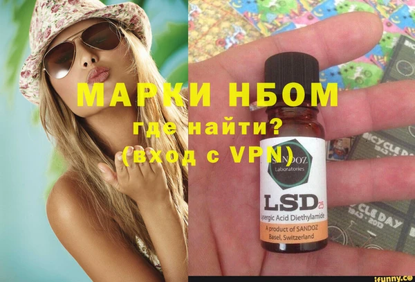 прущие грибы Бородино