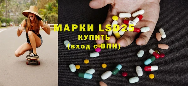 прущие грибы Бородино