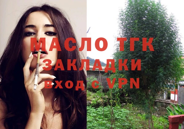 сатива Бронницы