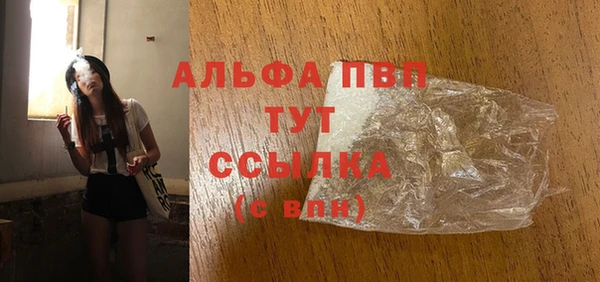 прущие грибы Бородино